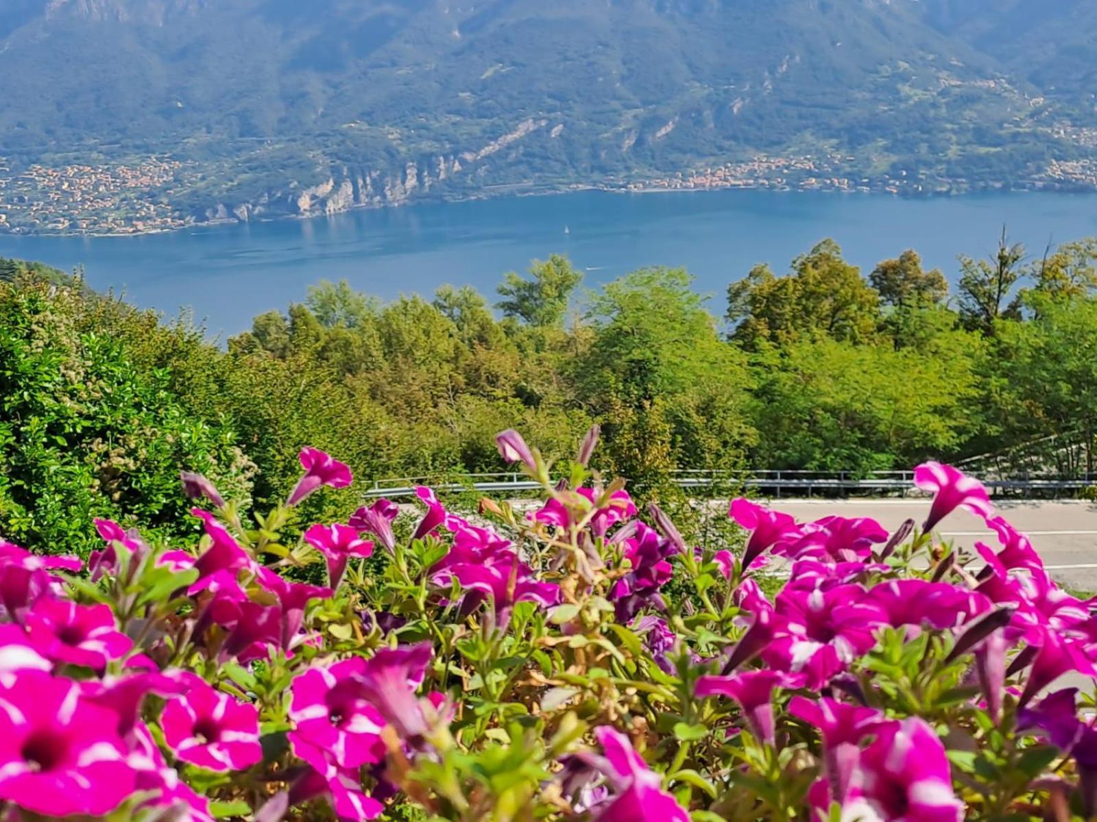 Provinciale 79 Otel Magreglio Dış mekan fotoğraf