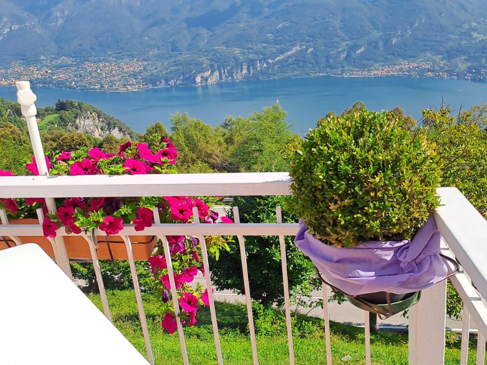 Provinciale 79 Otel Magreglio Dış mekan fotoğraf